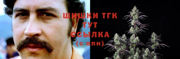 спиды Инсар