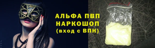 спиды Инсар