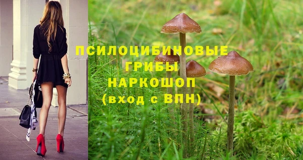 спиды Инсар