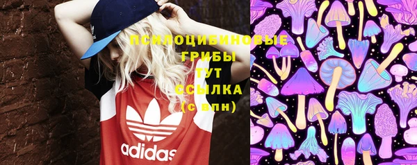 шишки Иннополис