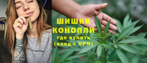 спиды Инсар