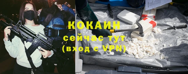 шишки Иннополис