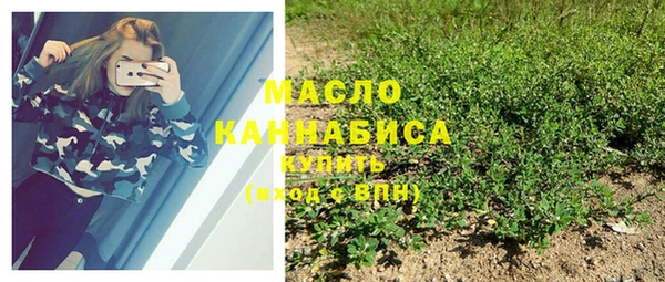 спиды Инсар