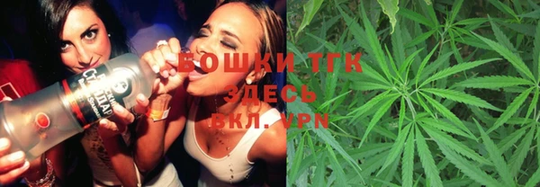 спиды Инсар