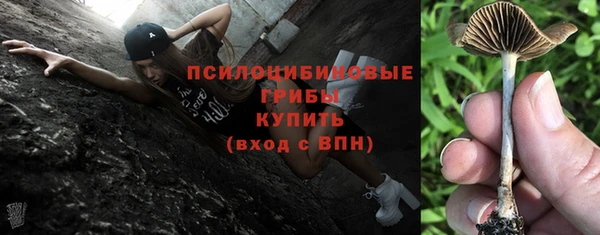 шишки Иннополис