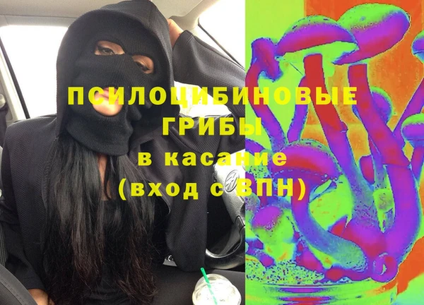 крисы Каменск-Шахтинский